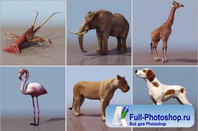 3D-модели животных