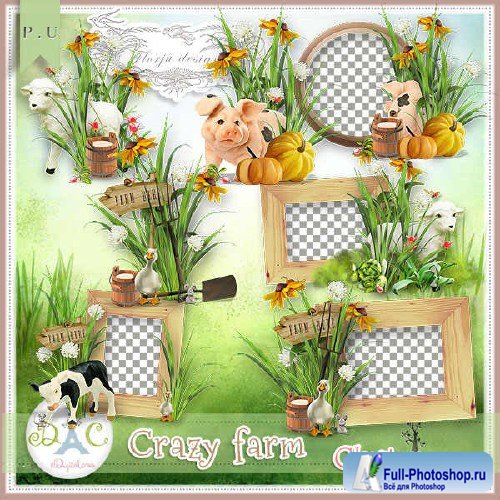 - - Crazy Farm