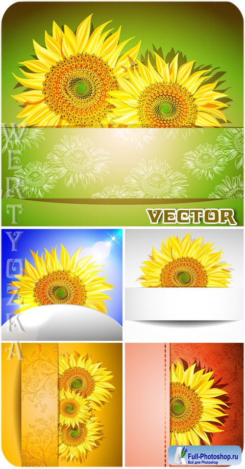       / Sunflowers - vector clipart