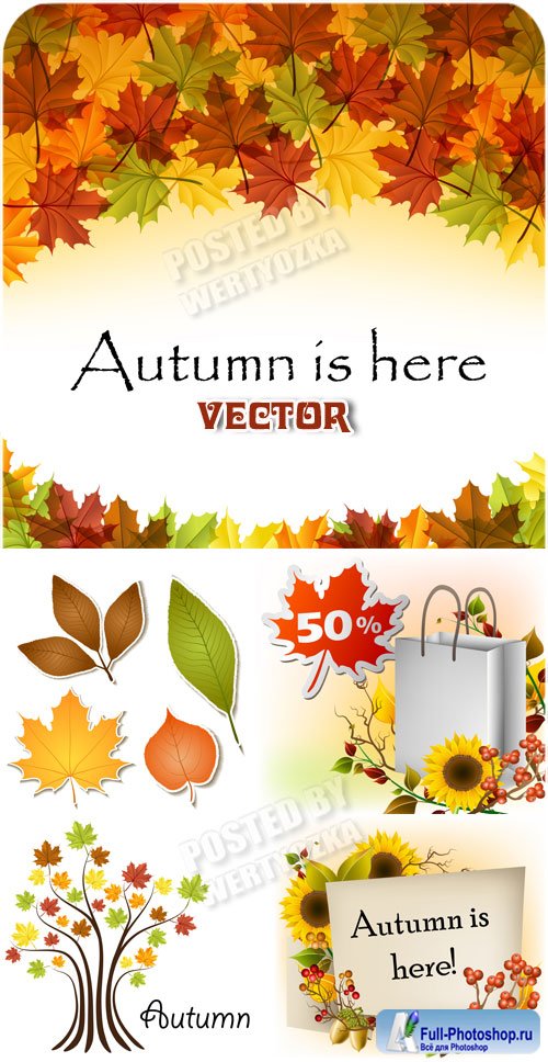  , , ,  / Autumn backgrounds - vector