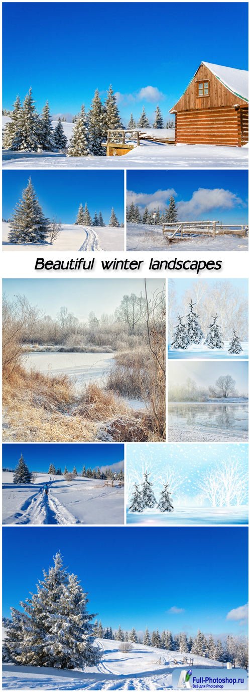 Beautiful winter landscapes, trees, snow