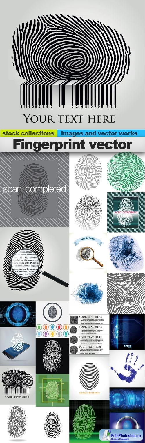 Fingerprint vector