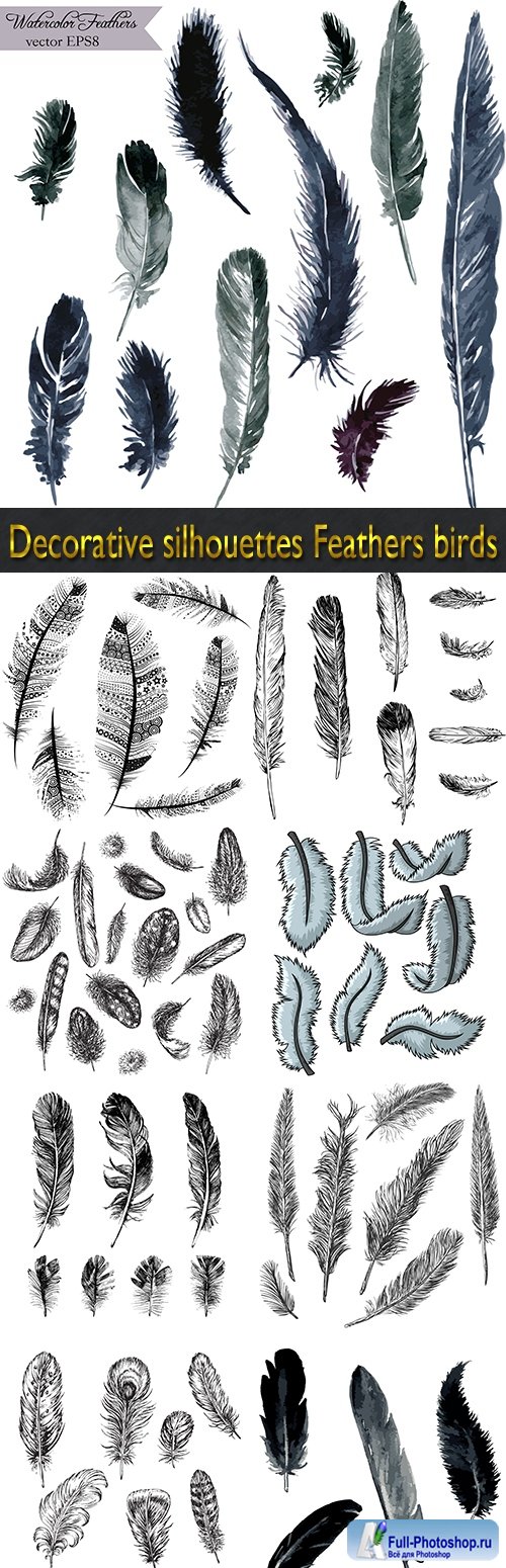 Decorative silhouettes Feathers birds