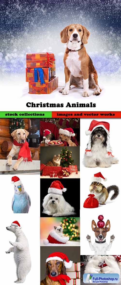 Christmas Animals