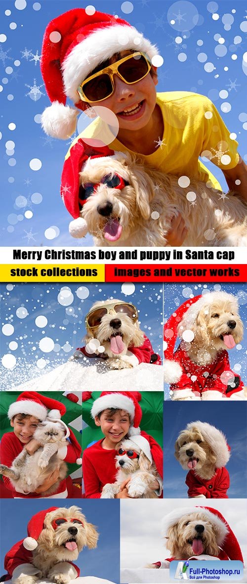 Merry Christmas boy and puppy in Santa cap