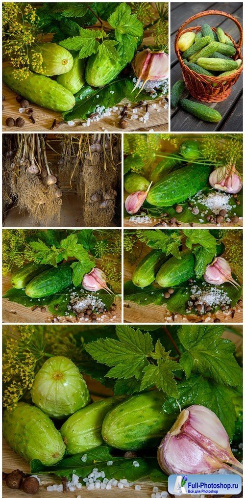 Ripe cucumbers with spices for pickling on a wooden rustic table 7X JPEG