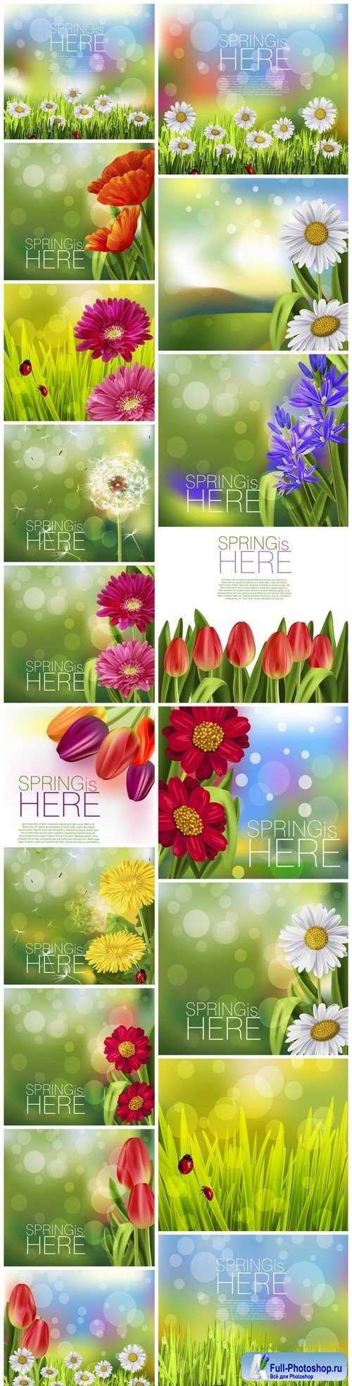 Spring flowers Greeting 18X EPS