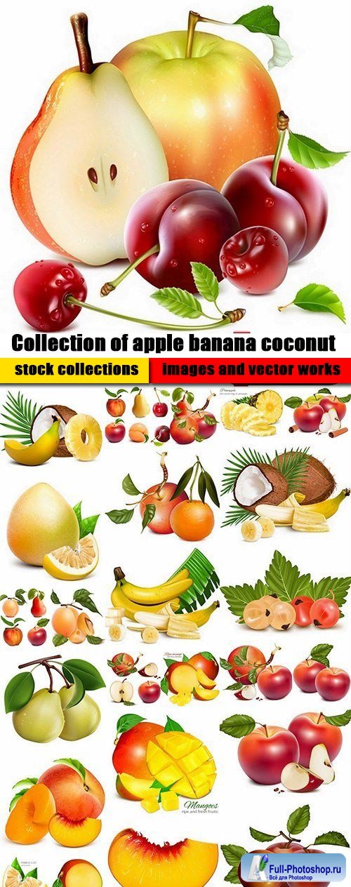 Collection of apple banana coconut orange peach currant berry fruit vector image 25 EPS