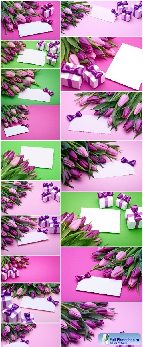 Beautiful tulips and greeting card 17X JPEG