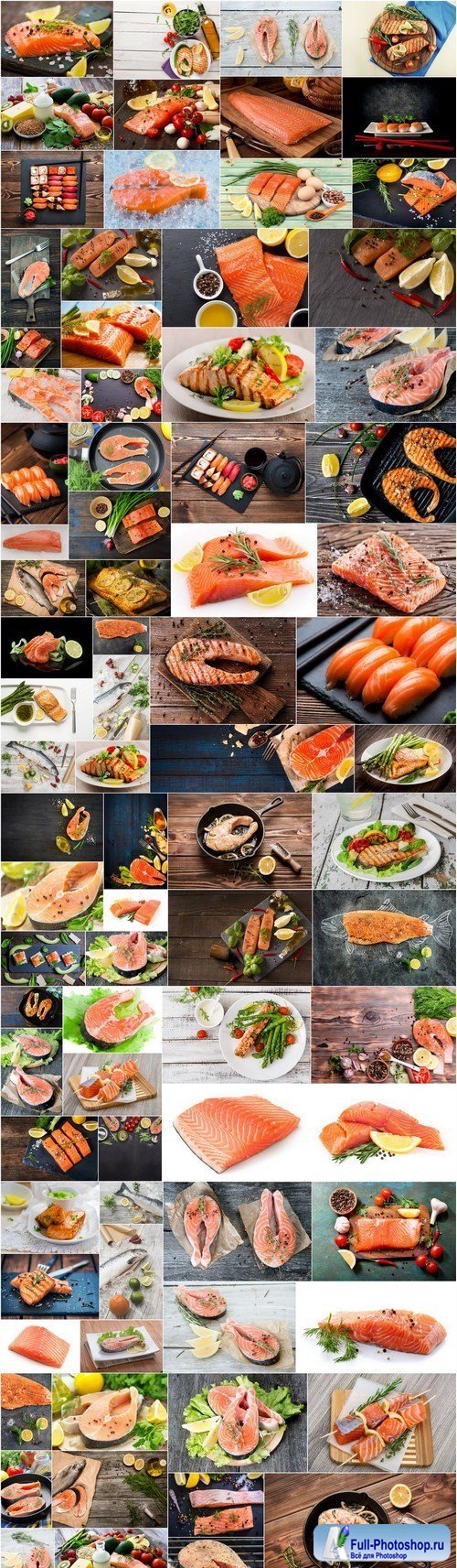 Raw salmon filet, stake and sushi - 83xUHQ JPEG