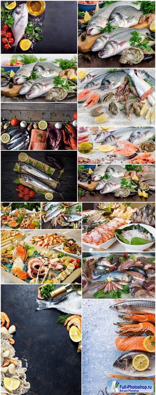 Raw seafood Healthy diet eating 15X JPEG