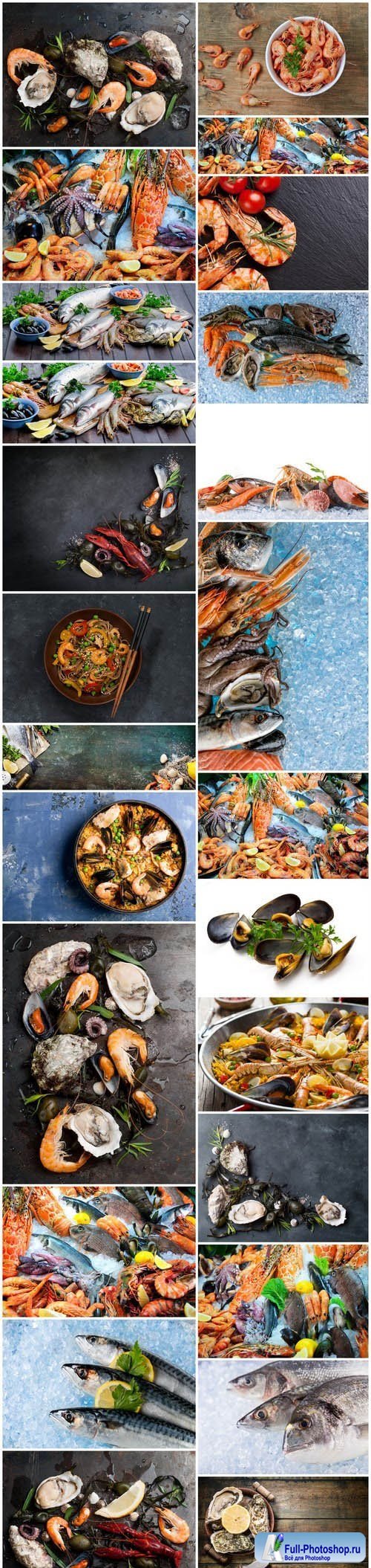 Fresh seafood - 25xUHQ JPEG Photo Stock