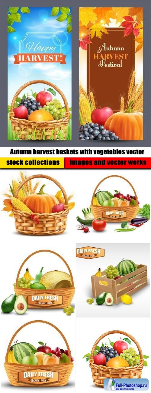 Autumn harvest baskets with vegetables vector