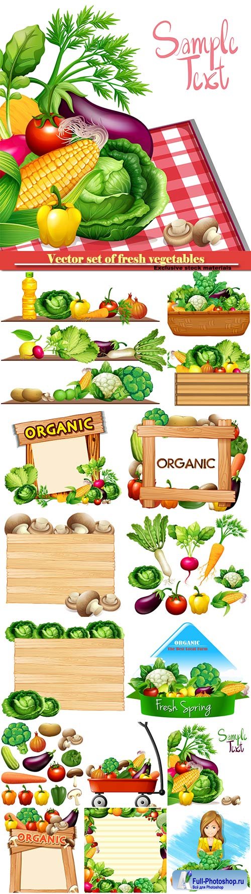 Vector set of fresh vegetables