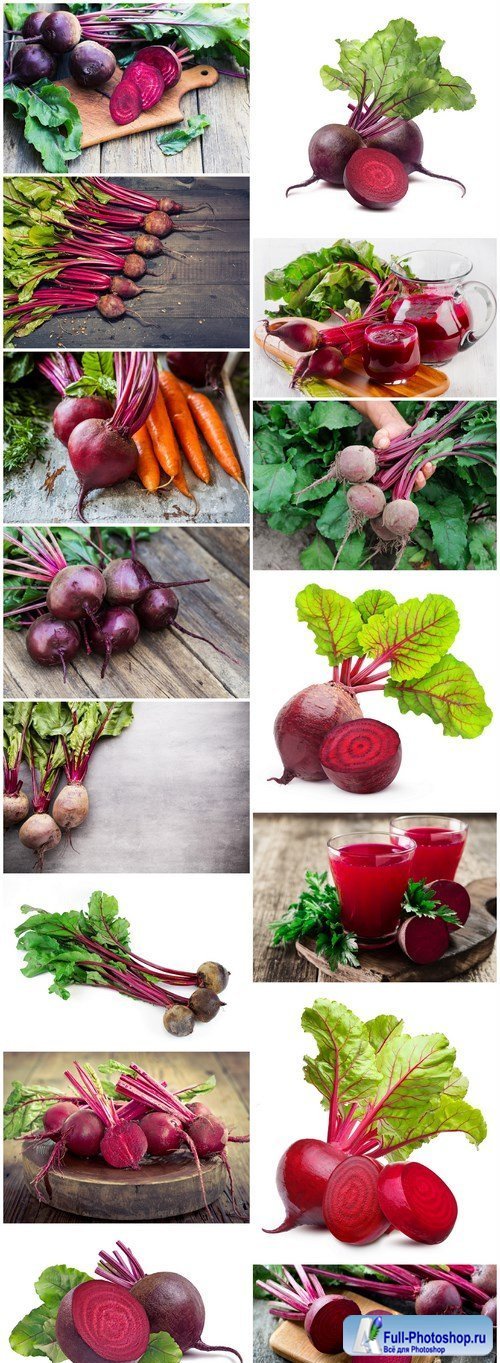 Fresh Beets