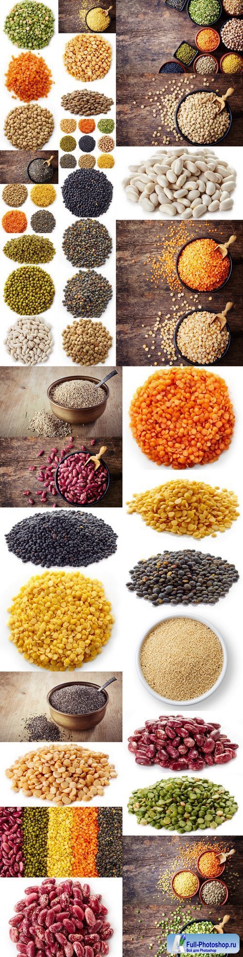 Legumes