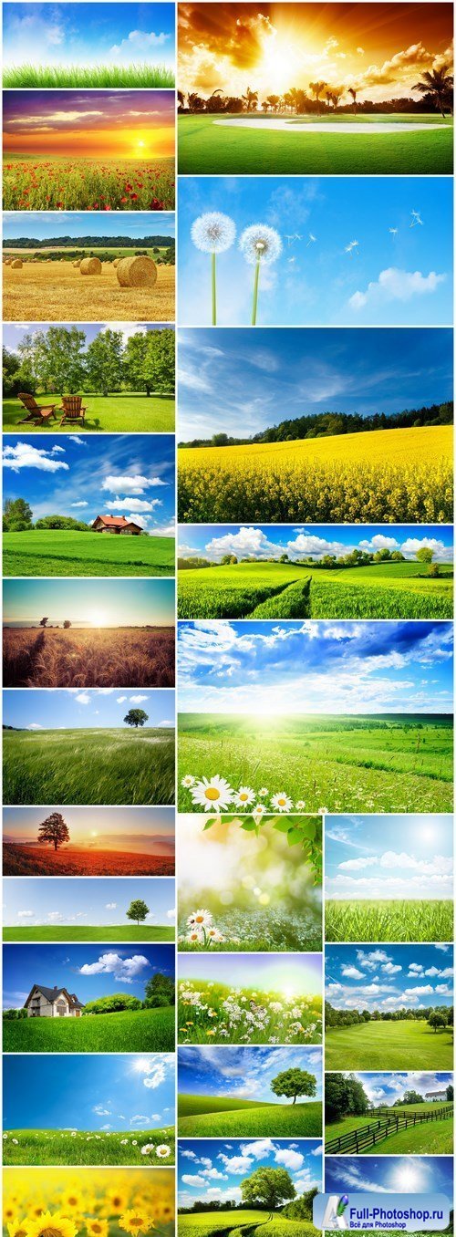 Beautiful Field - 25 HQ Images