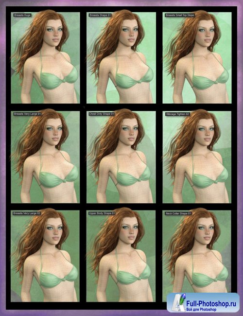 Genesis 8 Female Body Morph Resource Kit 3