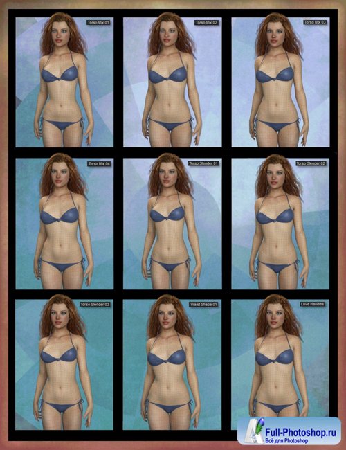 Genesis 8 Female Body Morph Resource Kit 3