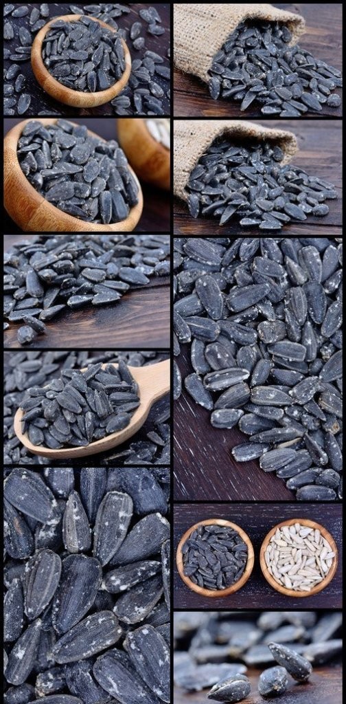 Background of black sunflower seeds 10X JPEG