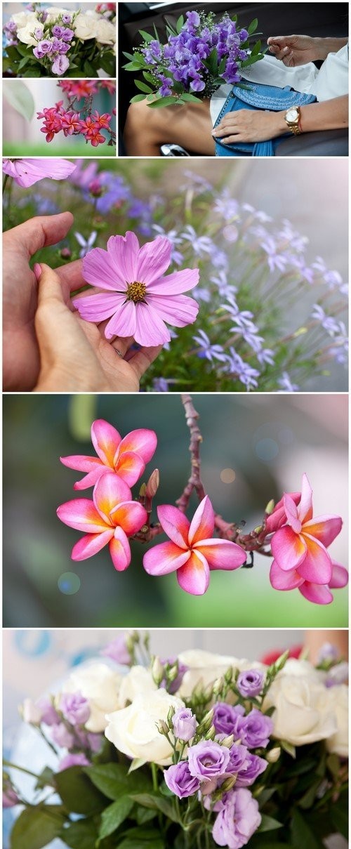 Beautiful bouquet of flowers 6X JPEG