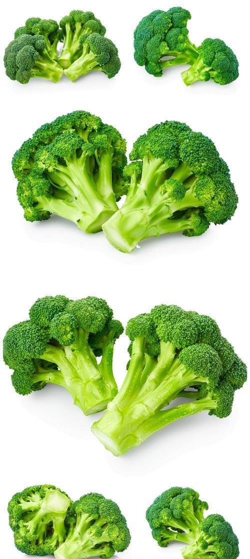 Fresh broccoli 6X JPEG