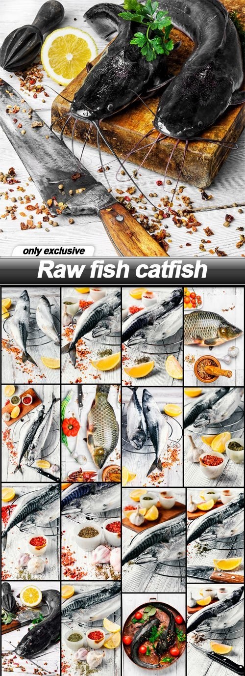 Raw fish catfish - 19 UHQ JPEG