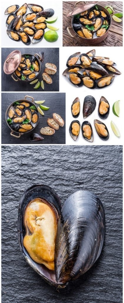 Mussels on the background of graphite 7X JPEG