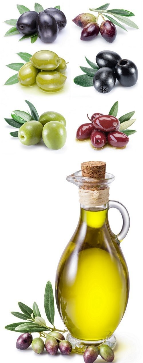 Olive fruit and olive leaves 7X JPEG