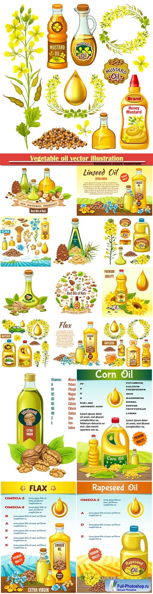 Vegetable oil vector illustration