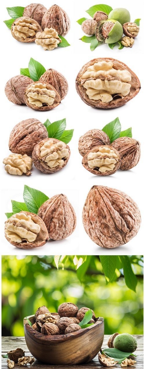 Walnuts and walnut kernel 9X JPEG