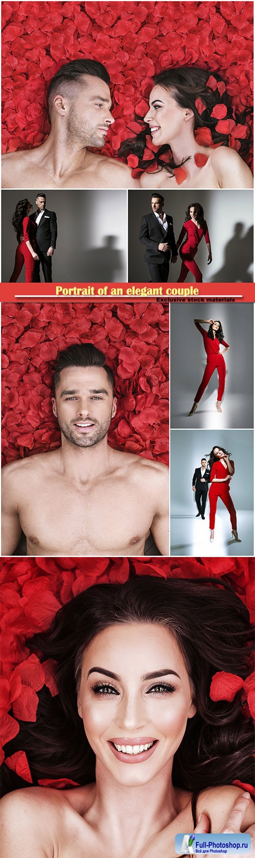 Portrait of an elegant couple, romantic couple laying on red rose petals