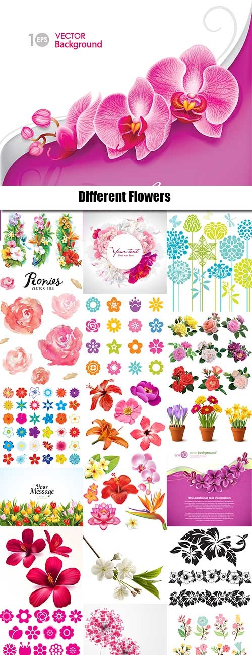 Different Flowers  in vector from stock - 25 Eps