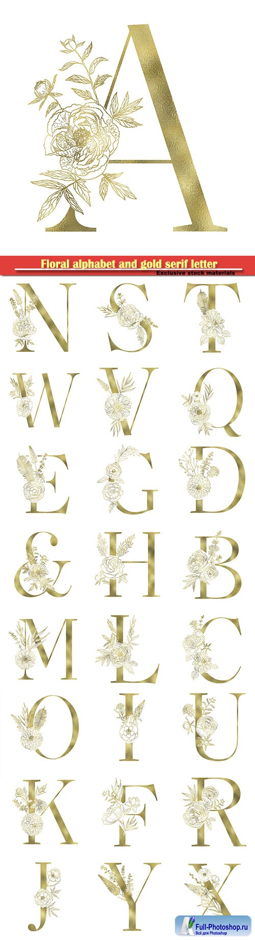 Floral alphabet and gold serif letter, vector decorative ABC