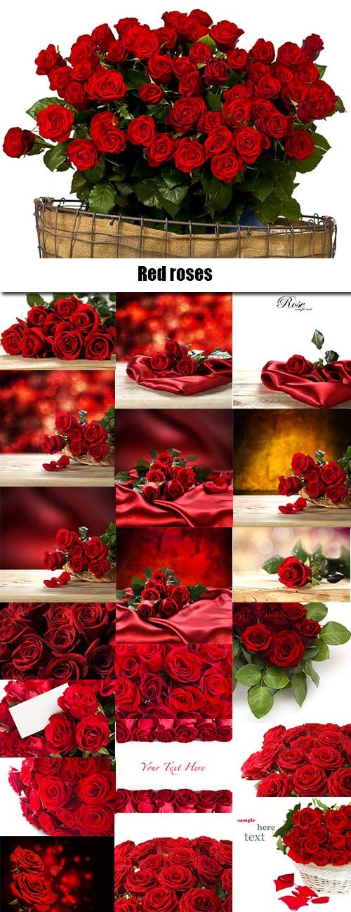 Red roses