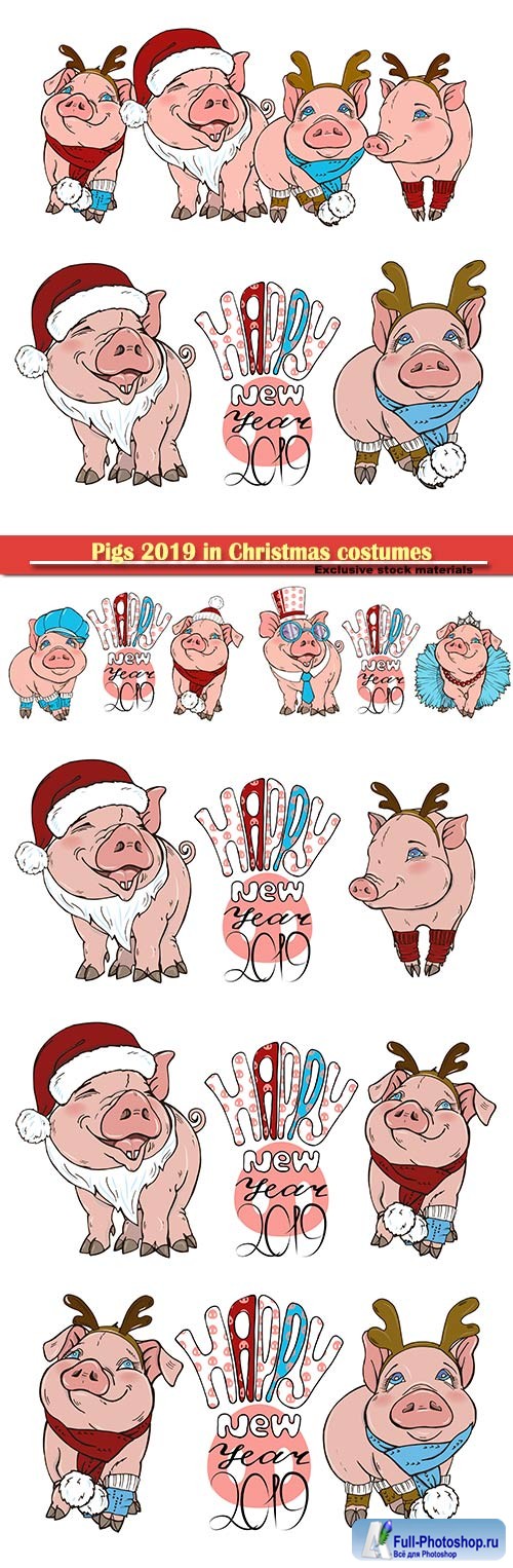 Pigs 2019 in Christmas costumes, vector illustration