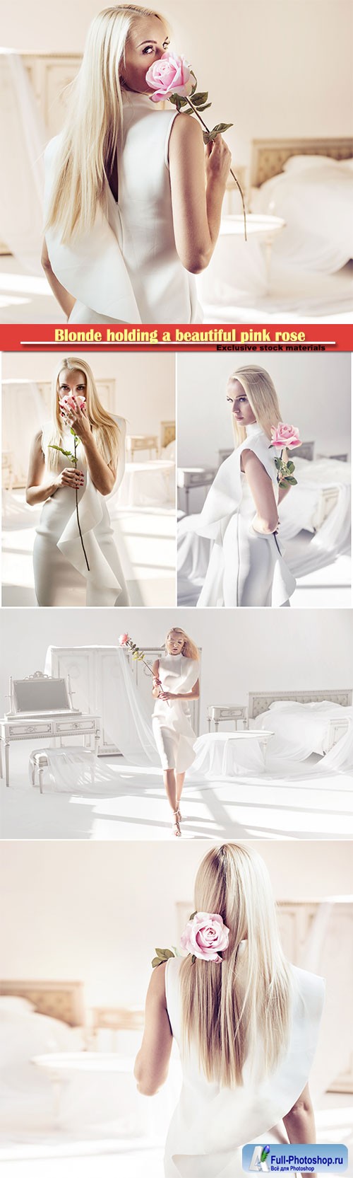 Elegant, young blonde holding a beautiful pink rose