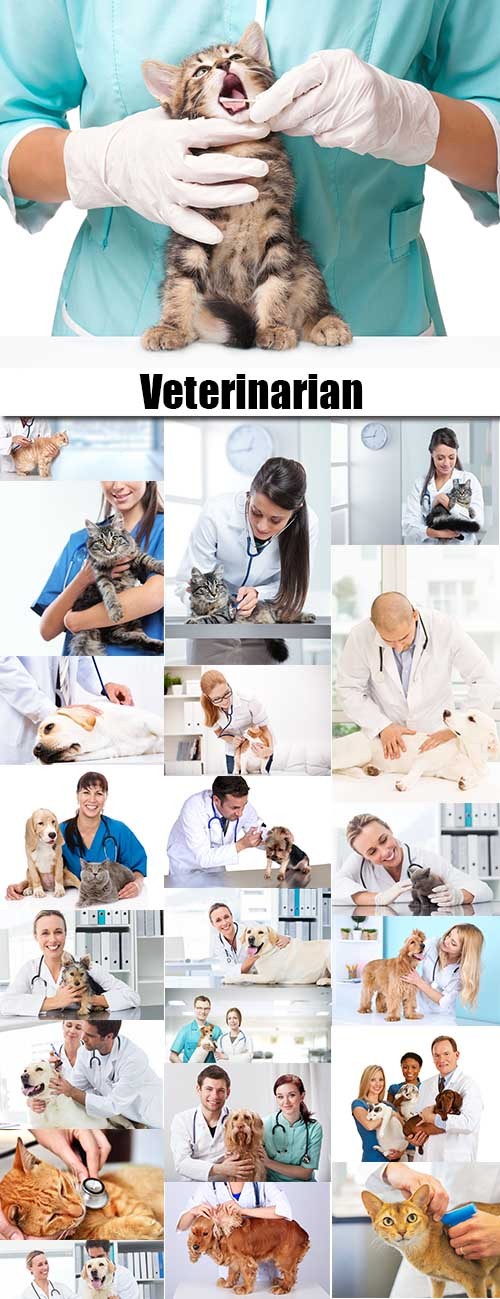 Veterinarian