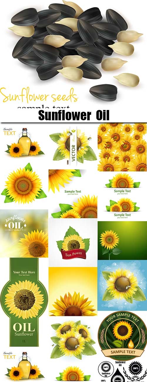 Sunflower Oil