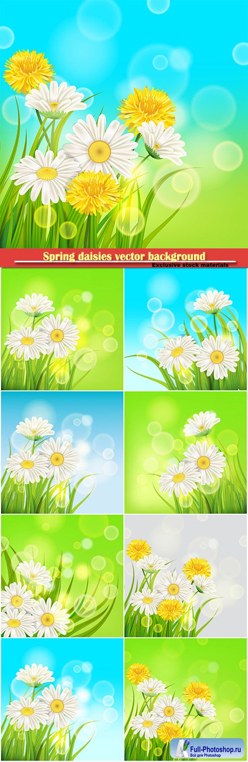 Spring daisies background fresh green grass vector card