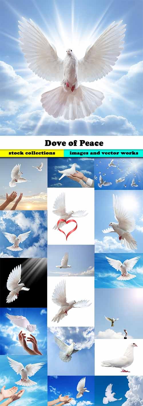 Dove of Peace