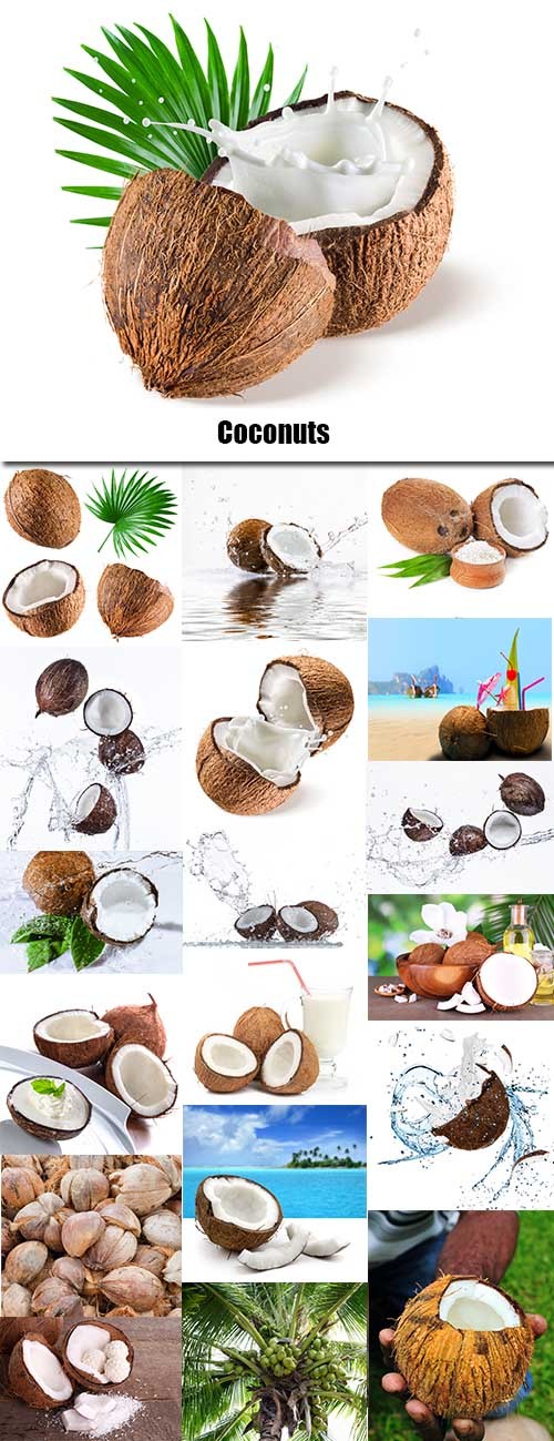 Coconuts