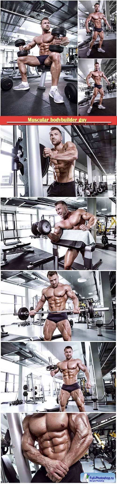 Muscular bodybuilder guy doing exercises with dumbbell