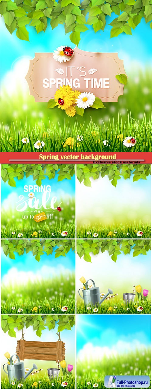 Spring vector background with green grass and flowers