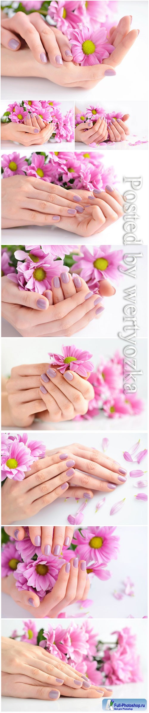 Beautiful manicure, hands with flowers