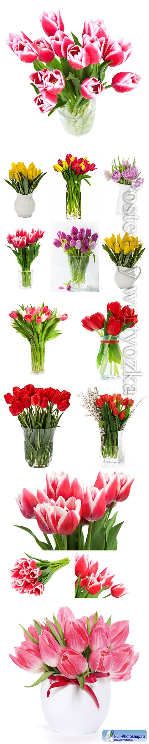 Beautiful tulips in vases stock photo