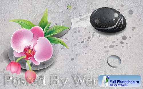 3D psd models modern fresh stone flower tv background wall