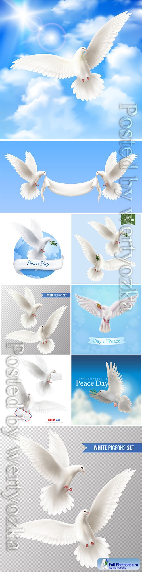 White pigeons vector set