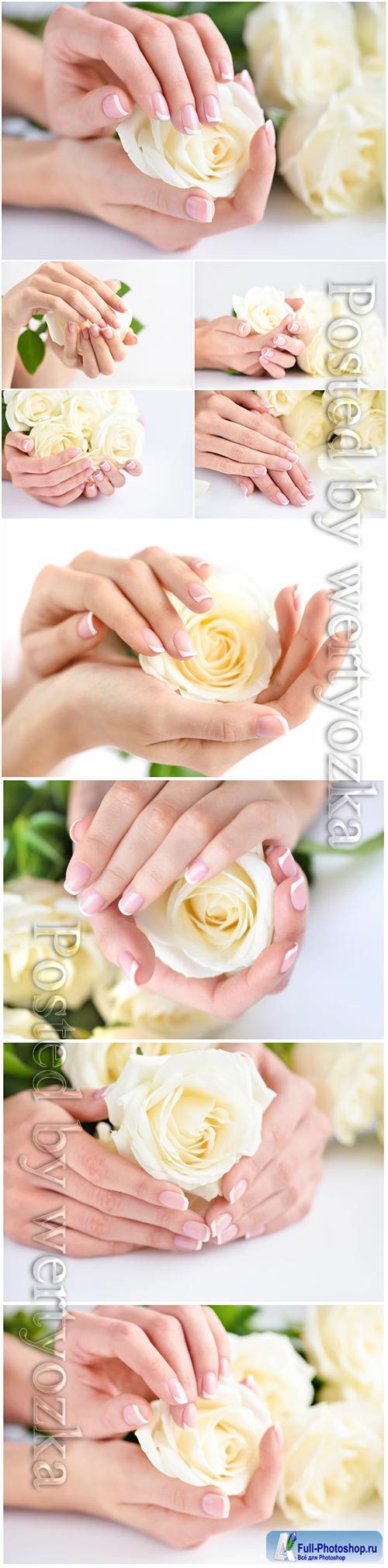 Hands of a woman with beautiful french manicure