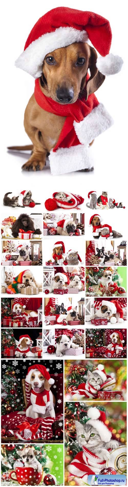 New Year and Christmas stock photos 19